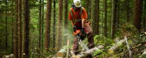 loggers union county