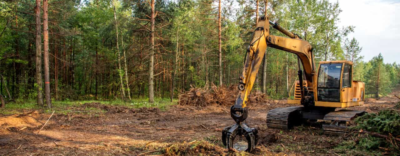 equipment at land clearing site with trees in background