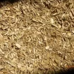 woody biomass fuel pennsylvania