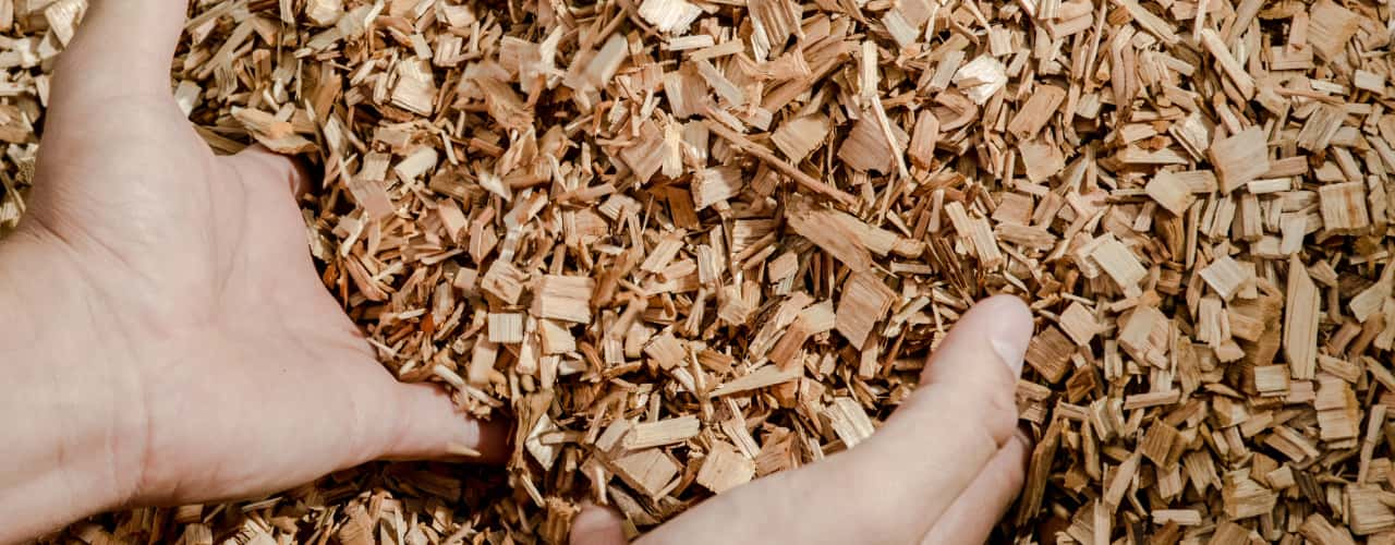 hands in woody biomass fuel