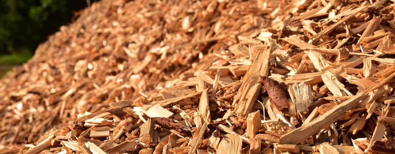 woody biomass fuel