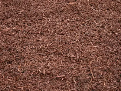 Pennsylvania Hemlock Mulch