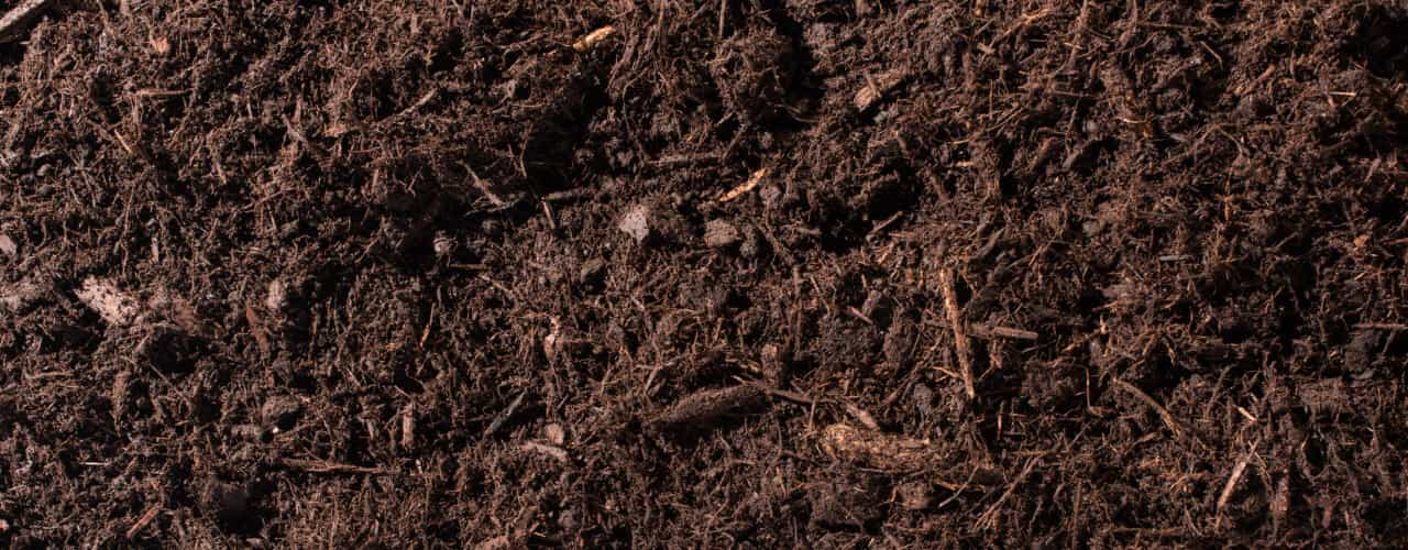 close up of mulch