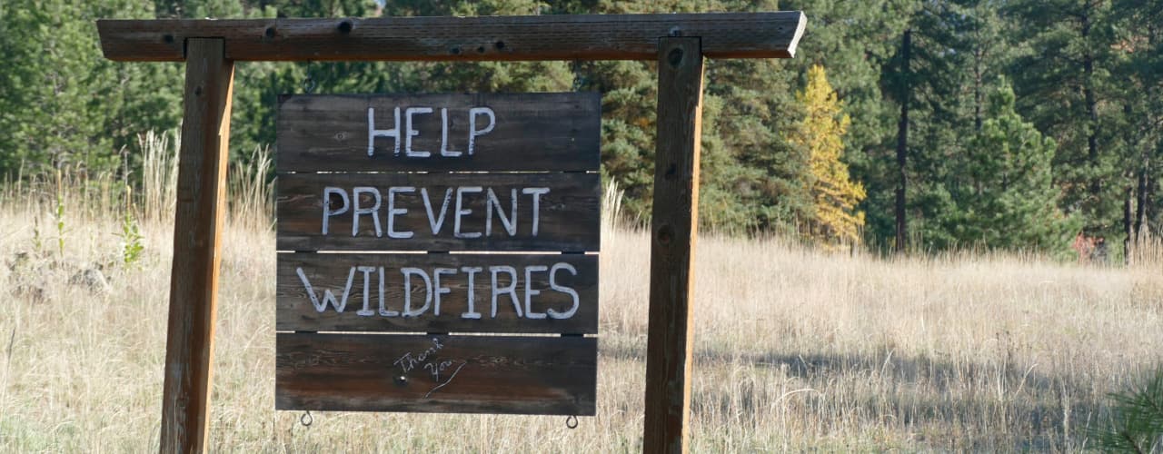 wooden sign in field in front of forest that says "help prevent wildfires"