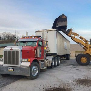 am-loggin-loading-trailer-with-mulch